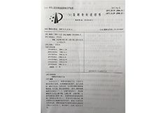 Patent